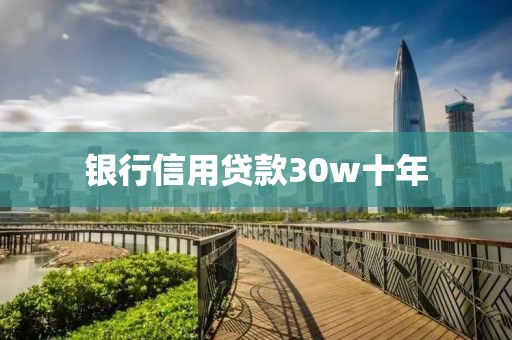银行信用贷款30w十年