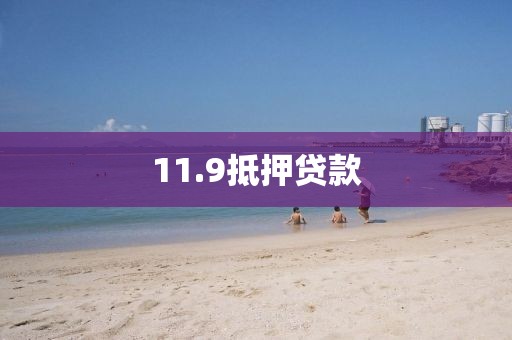 11.9抵押贷款