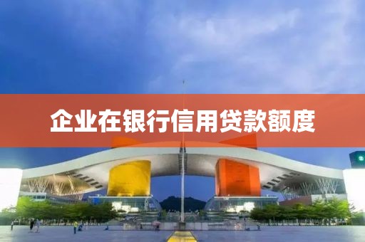 企业在银行信用贷款额度