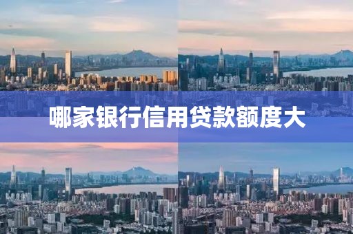 哪家银行信用贷款额度大