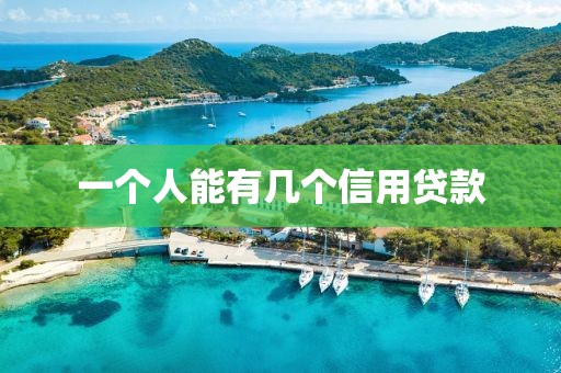 一个人能有几个信用贷款