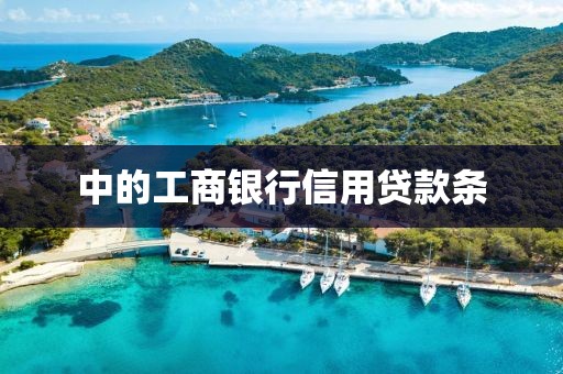 中的工商银行信用贷款条