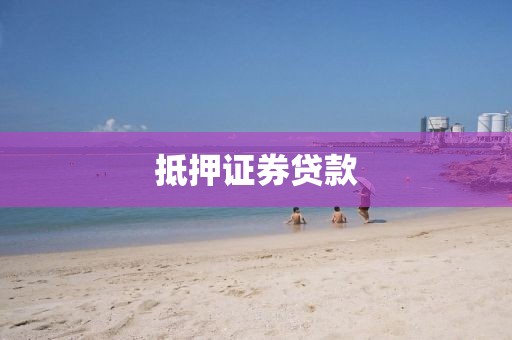 抵押证券贷款
