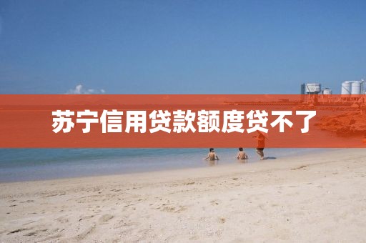 苏宁信用贷款额度贷不了