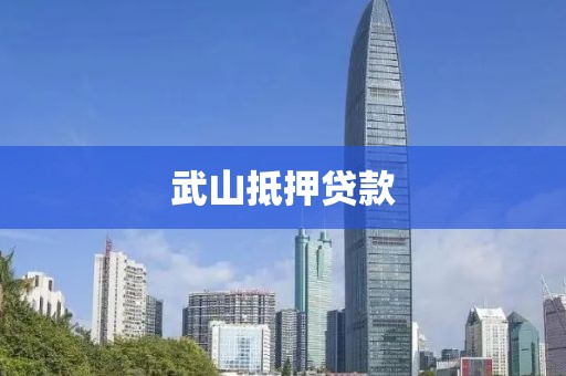 武山抵押贷款