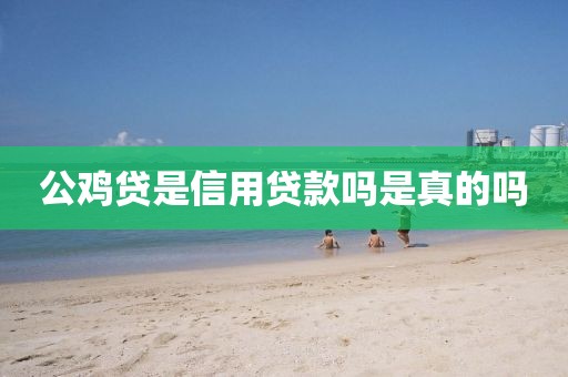 公鸡贷是信用贷款吗是真的吗