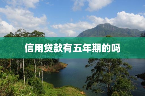 信用贷款有五年期的吗