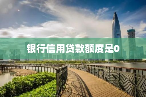 银行信用贷款额度是0