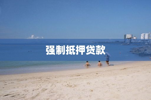 强制抵押贷款