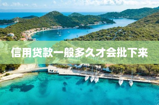 信用贷款一般多久才会批下来