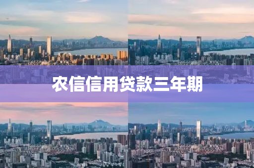 农信信用贷款三年期