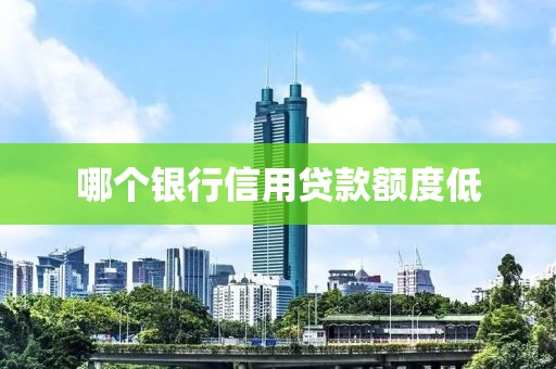 哪个银行信用贷款额度低