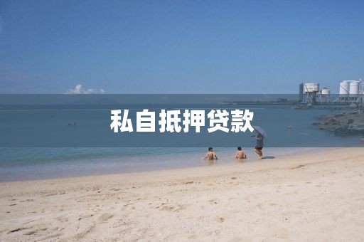 私自抵押贷款