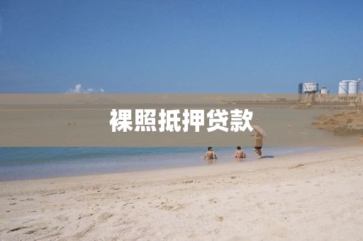 裸照抵押贷款