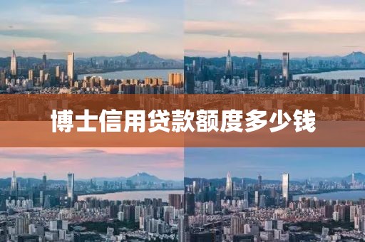 博士信用贷款额度多少钱