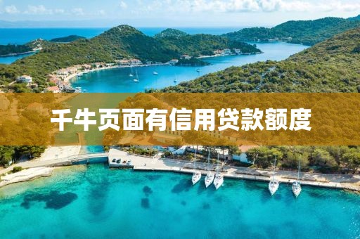 千牛页面有信用贷款额度