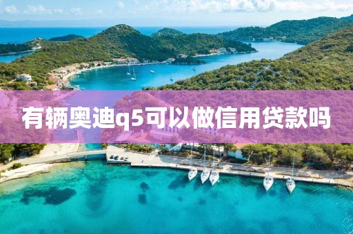有辆奥迪q5可以做信用贷款吗