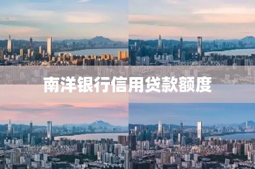 南洋银行信用贷款额度