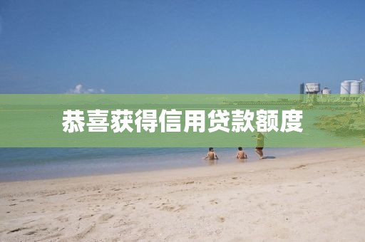恭喜获得信用贷款额度