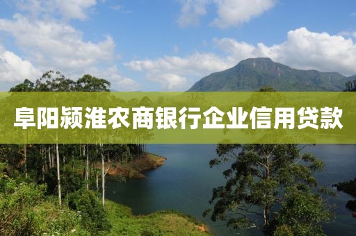 阜阳颍淮农商银行企业信用贷款