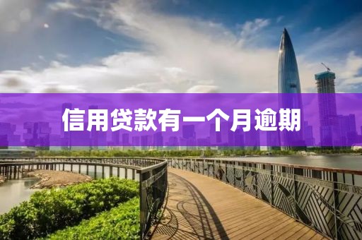 信用贷款有一个月逾期