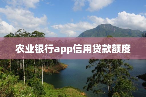 农业银行app信用贷款额度