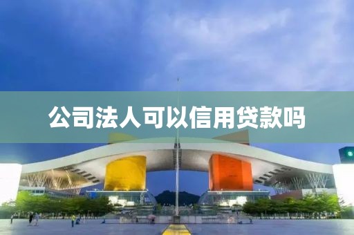 公司法人可以信用贷款吗