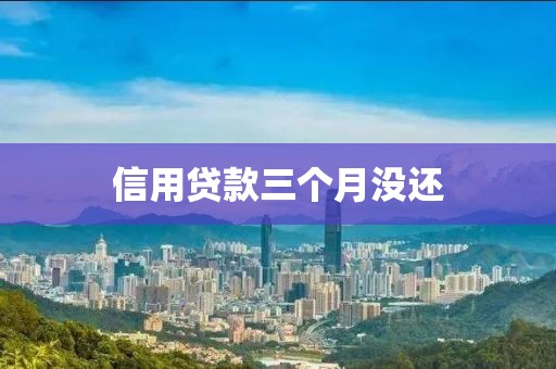 信用贷款三个月没还