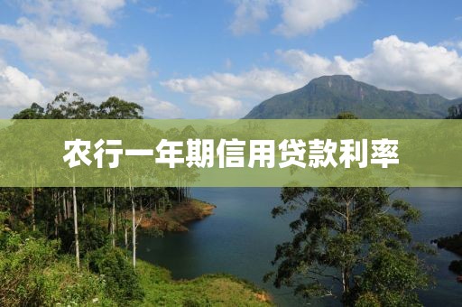 农行一年期信用贷款利率