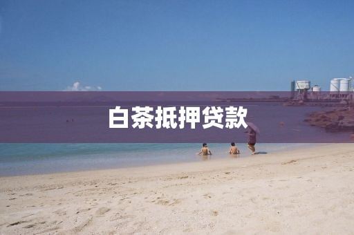 白茶抵押贷款