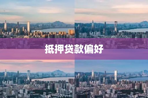 抵押贷款偏好