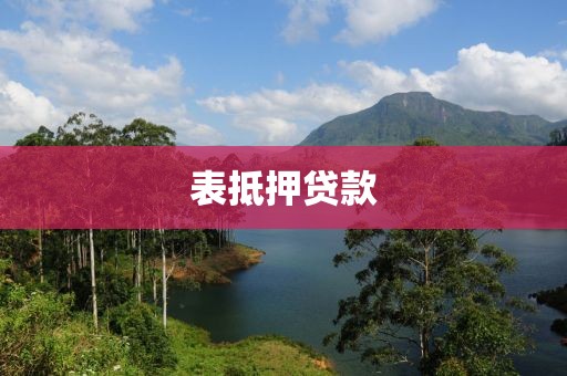 表抵押贷款