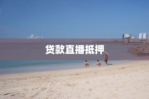 贷款直播抵押