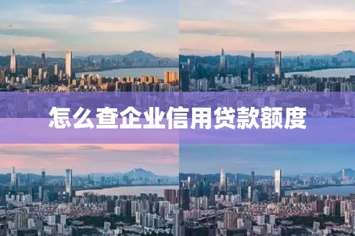 怎么查企业信用贷款额度