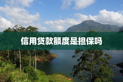 信用贷款额度是担保吗
