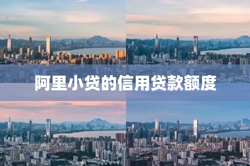 阿里小贷的信用贷款额度