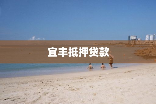 宜丰抵押贷款