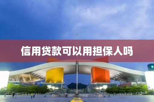 信用贷款可以用担保人吗