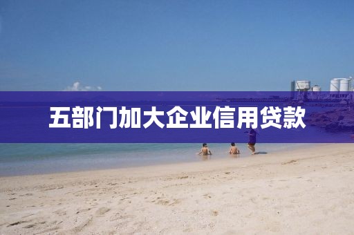 五部门加大企业信用贷款