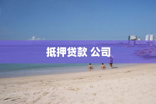 抵押贷款 公司