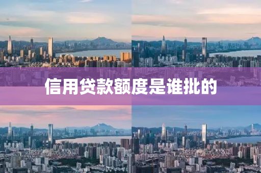 信用贷款额度是谁批的
