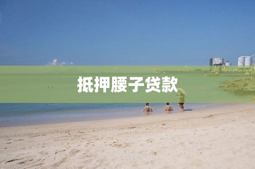 抵押腰子贷款