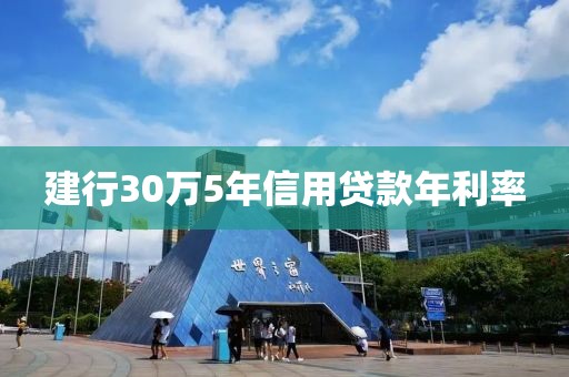 建行30万5年信用贷款年利率
