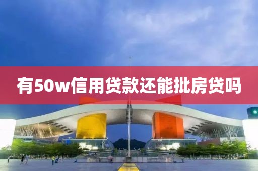 有50w信用贷款还能批房贷吗
