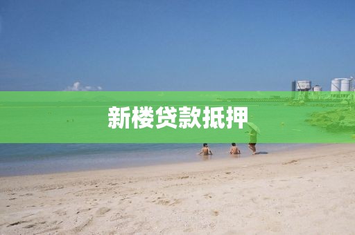 新楼贷款抵押