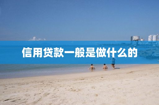 信用贷款一般是做什么的