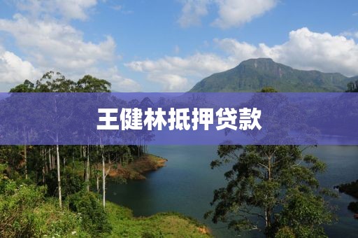 王健林抵押贷款