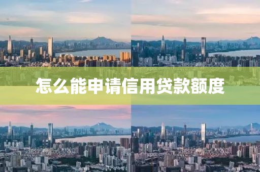 怎么能申请信用贷款额度