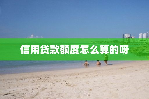 信用贷款额度怎么算的呀