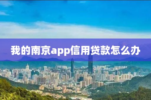 我的南京app信用贷款怎么办